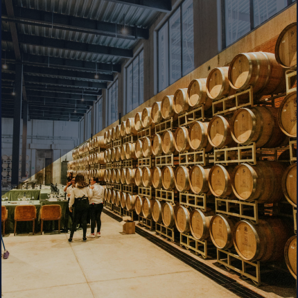 Barrels of alcohol against a wall in a distillery