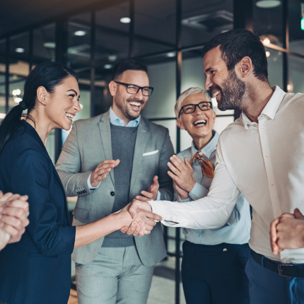 Group of business people talking, shaking hands.